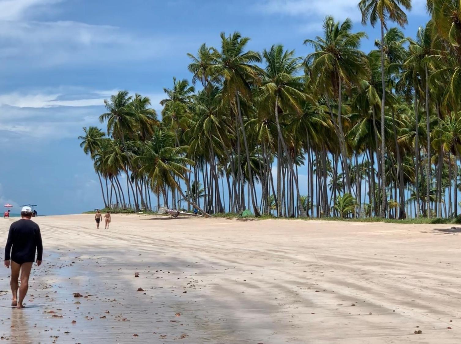 Carneiros Beach Resort Flat Tamandare Bagian luar foto