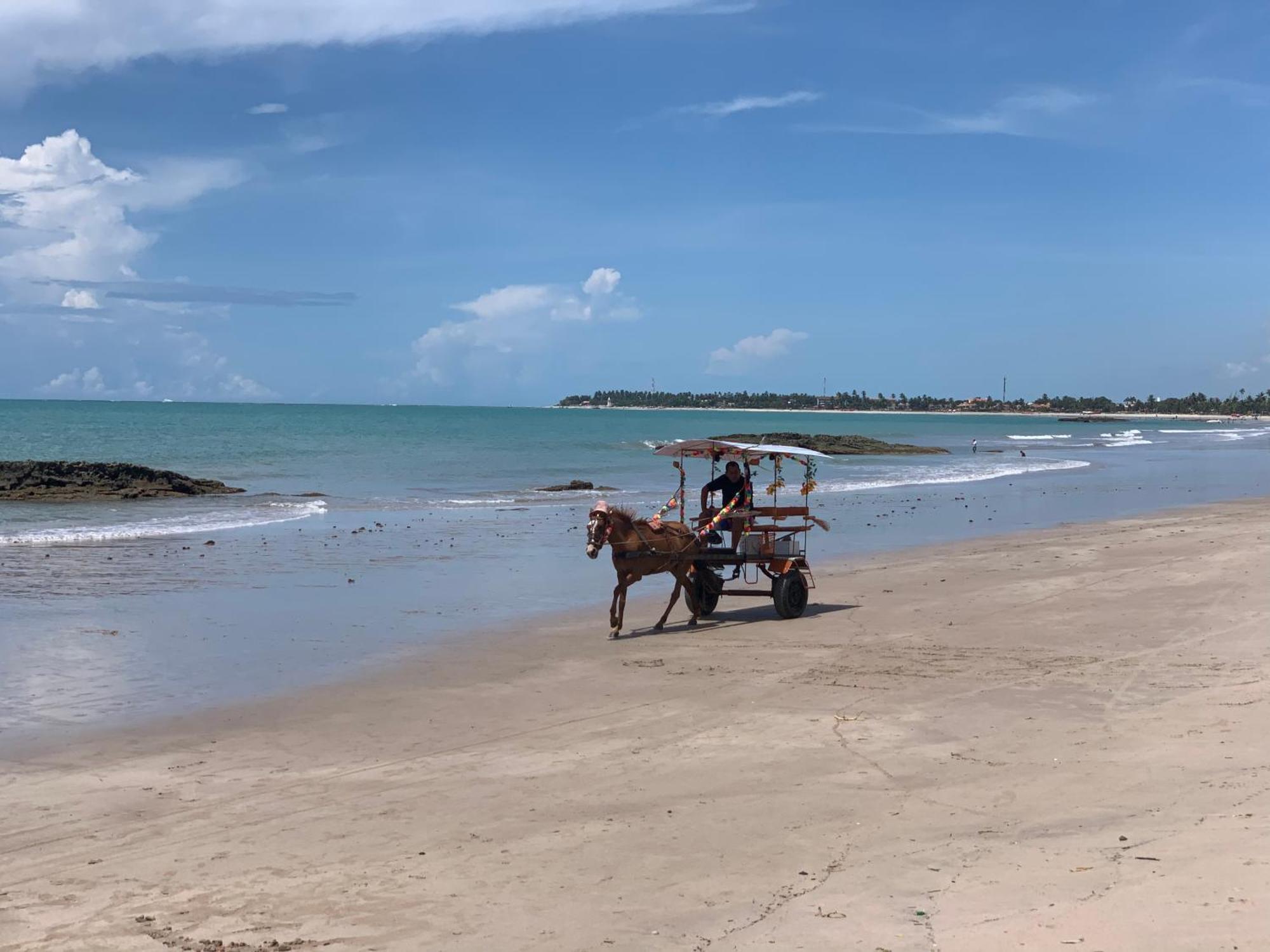 Carneiros Beach Resort Flat Tamandare Bagian luar foto